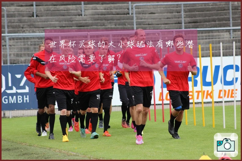 世界杯买球的大小球玩法有哪些潜在风险需要了解？