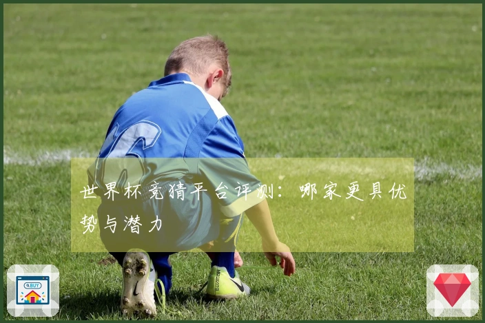 世界杯竞猜平台评测：哪家更具优势与潜力