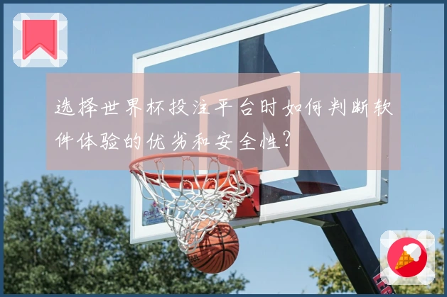 选择世界杯投注平台时如何判断软件体验的优劣和安全性？