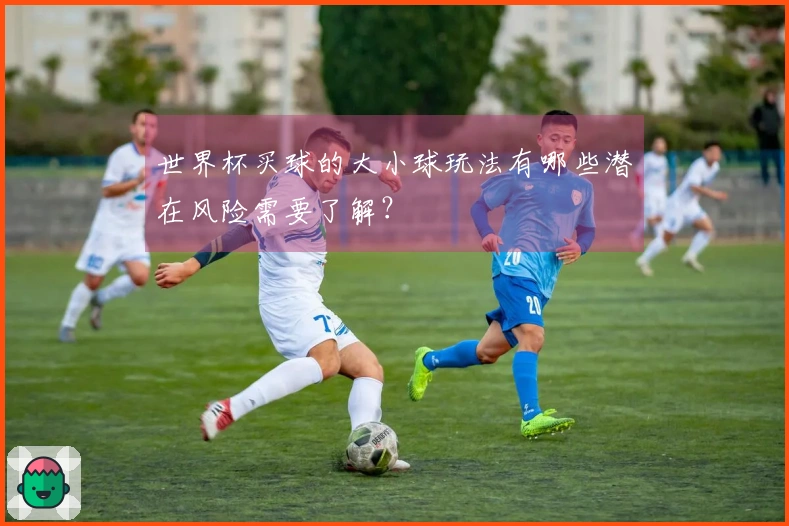 世界杯买球的大小球玩法有哪些潜在风险需要了解？